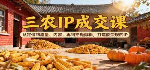 三农IP成交课:从定位到流量、内容,再到拍摄剪辑,打造能变现的IP