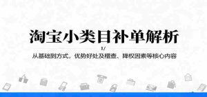 淘宝小类目补单解析:从基础到方式,优势好处及稽查、降权因素等核心内容