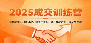 2025成交实战训练营:学成交道、日销SOP,建客户系统,让下单更轻松,成交更丝滑