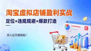 淘宝虚拟店铺盈利实战:定位+违规规避+爆款打造,月入过万很轻松!