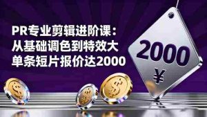 PR专业剪辑进阶课:从基础调色到特效大片的进阶技能,单条短片报价达2000
