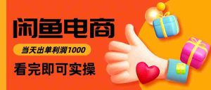 闲鱼高利润电商，当天上架当天出单，一单利润300＋
