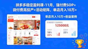 拼多多稳定盈利课-11月，强付费SOP+微付费高投产+活动矩阵，单店月入10万+