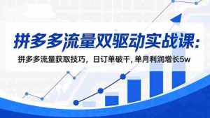 拼多多流量双驱动实战课：拼多多流量获取技巧，日订单破千,单月利润增长5w