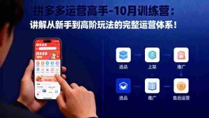 拼多多运营高手-10月训练营：讲解从新手到高阶玩法的完整运营体系！