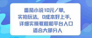 番茄小说10米每单，实拍玩法，0成本好上手，详细实操教程和平台入口适合大部分人
