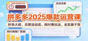 拼多多2025爆款运营课：秒杀大促、无限活动流、微付费玩法，全实操干货
