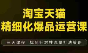 淘宝天猫精细化爆品运营（9月12-14杭州线下课），全方位拆解爆品打造逻辑【音频+字幕+文档】