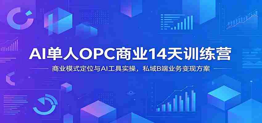 AI单人OPC商业14天训练营：商业模式定位与AI工具实操，私域B端业务变现方案