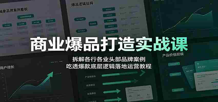 商业爆品打造实战课：拆解各行各业头部品牌案例，吃透爆款底层逻辑落地运营教程