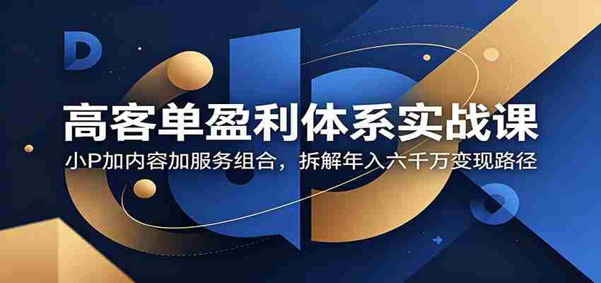 高客单盈利体系实战课：小P加内容加服务组合，拆解年入六千万变现路径