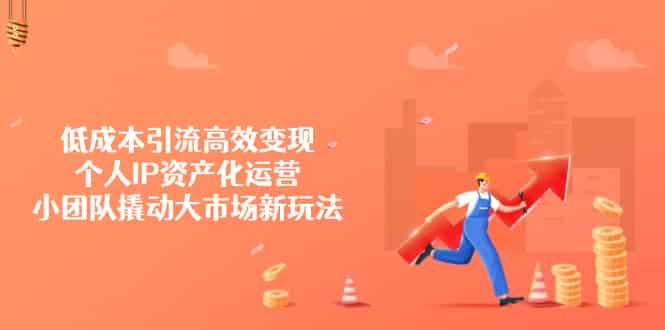 低成本引流高效变现，个人IP资产化运营，小团队撬动大市场新玩法