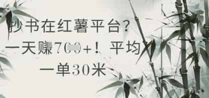 抄书在小红薯平台？平均一单30米，一天收益几张！