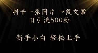每天2分钟，抖音一张图片 一段文案日引流500粉