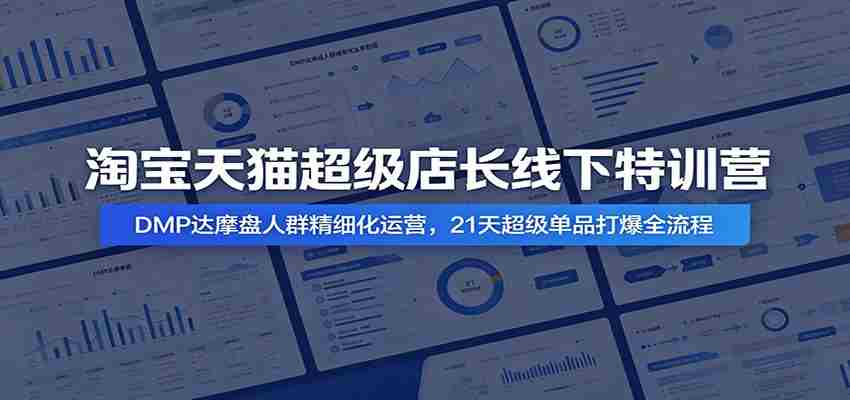 淘宝天猫超级店长线下特训营：DMP达摩盘人群精细化运营，21天超级单品打爆全流程