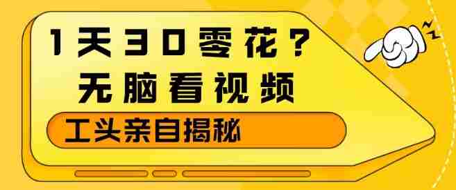 1天30零花？无脑看视频，大佬亲自揭秘