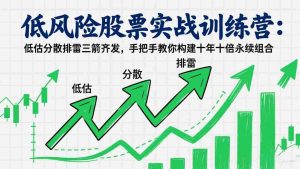 低风险股票实战训练营:低估分散排雷三箭齐发,手把手教你构建十年十倍永续组合