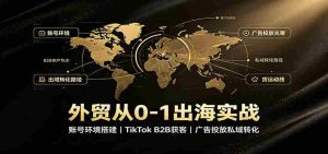 外贸从0-1出海实战：账号环境搭建，TikTok B2B获客，广告投放私域转化