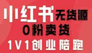 小红书无货源0粉电商课，开店准备、选品策略、笔记撰写、视频剪辑、数据分析、账号打造、资料文档（更新）